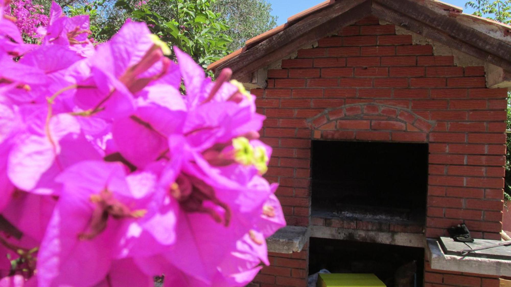 Apartmani Carmen Bibinje Habitación foto